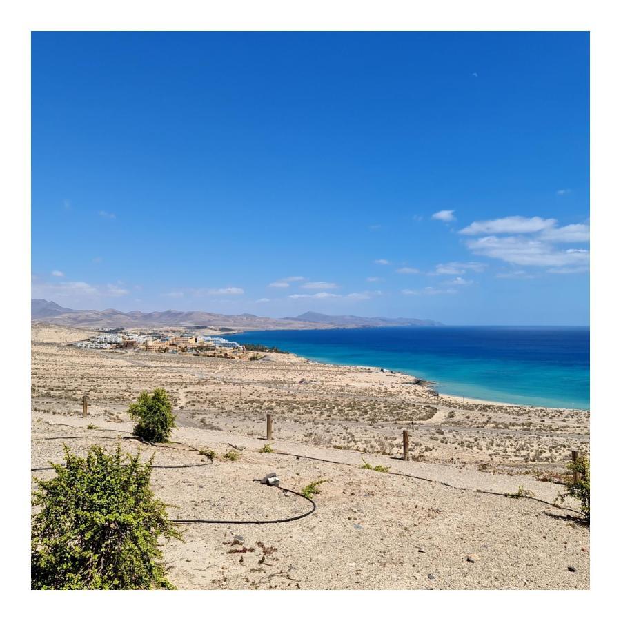Your Ocean Blue Коста Калма Екстериор снимка